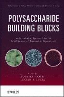 Youssef Habibi, Lucian A. Lucia - Polysaccharide Building Blocks, Inbunden