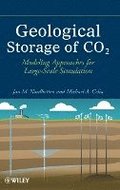 Geological Storage of CO2