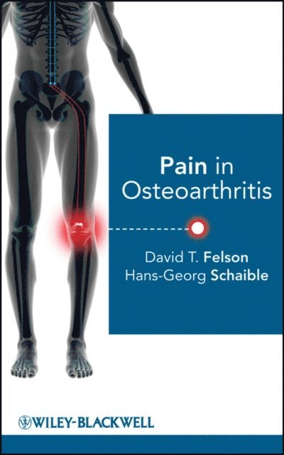 Hans-Georg Schaible, David T. Felson - Pain in Osteoarthritis, E-bok