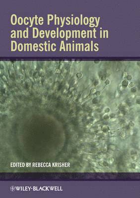 Rebecca Krisher - Oocyte Physiology and Development in Domestic Animals, Inbunden