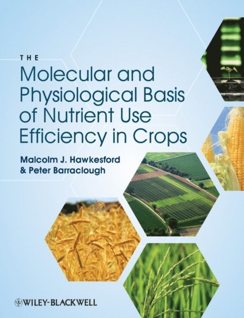 Peter Barraclough, Malcolm J. Hawkesford - Molecular and Physiological Basis of Nutrient Use Efficiency in Crops, E-bok