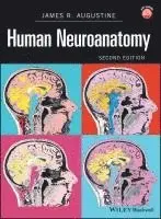 James R. Augustine - Human Neuroanatomy, Inbunden. Tillgänglighet: Tillfälligt slut