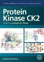 Lorenzo A. Pinna - Protein Kinase CK2, Inbunden
