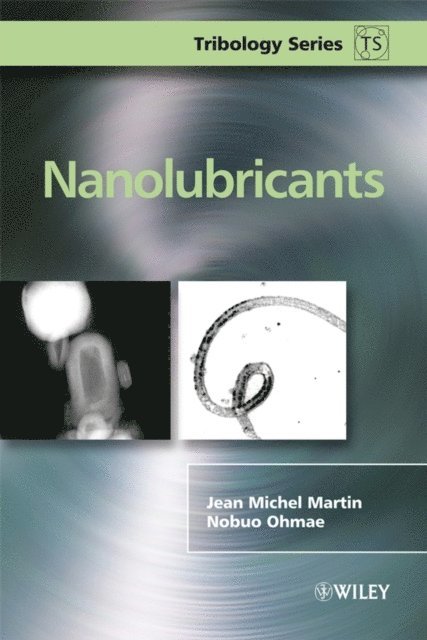 Nobuo Ohmae, Jean Michel Martin - Nanolubricants, E-bok