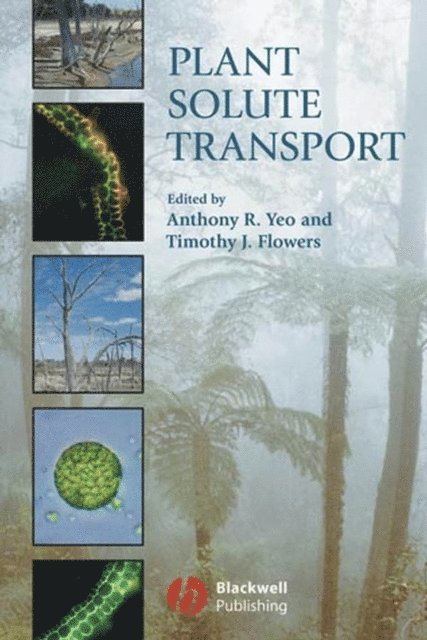 Timothy J. Flowers, Anthony R. Yeo - Plant Solute Transport, E-bok
