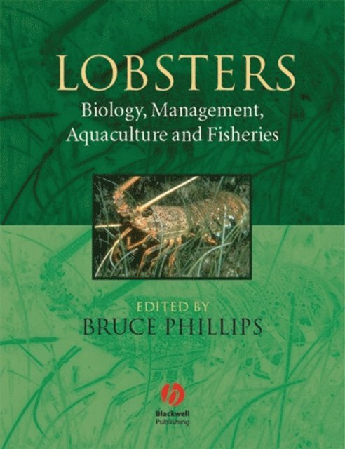 Bruce Phillips - Lobsters, E-bok