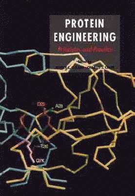 Jeffrey L. Cleland, Charles S. Craik - Protein Engineering, Inbunden