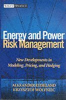 Energy and Power Risk Management by Alexander Eydeland, Krzysztof Wolyniec