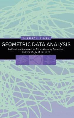 Michael Kirby - Geometric Data Analysis, Inbunden