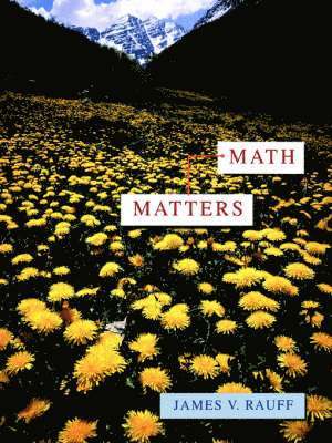 James V. Rauff - Math Matters, Häftad