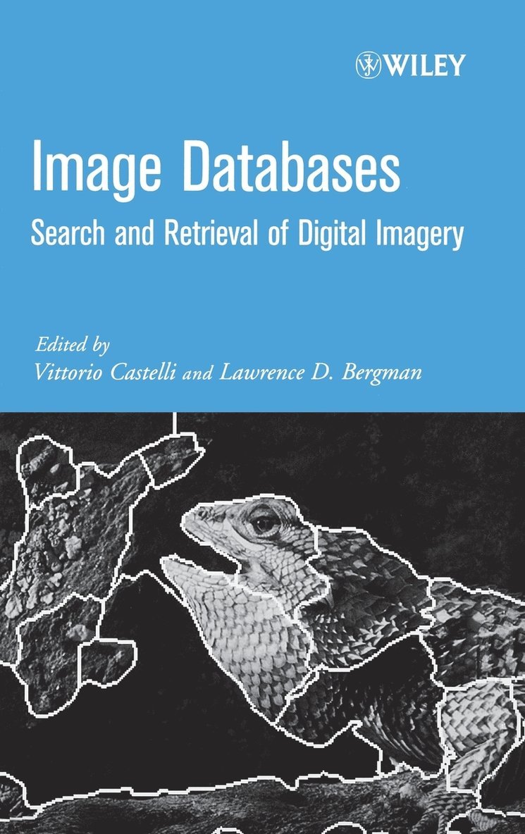 Castelli, Bergman, Vittorio Castelli, Lawrence D. Bergman - Image Databases, Inbunden