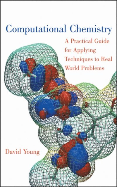 David Young - Computational Chemistry, E-bok