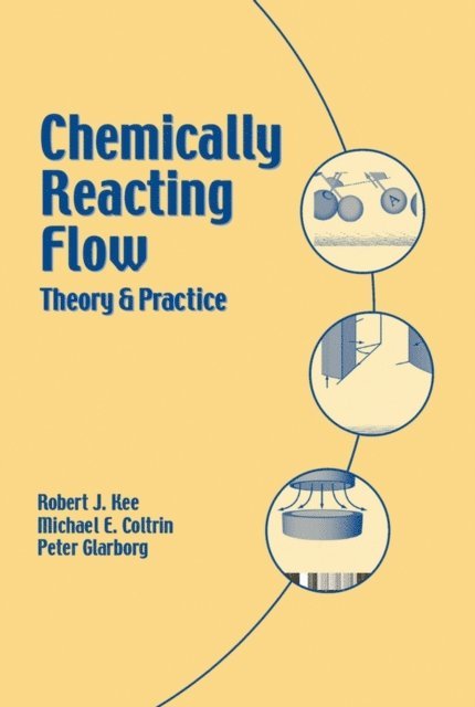 Peter Glarborg, Michael E. Coltrin, Robert J. Kee - Chemically Reacting Flow, E-bok