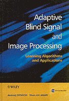 Adaptive Blind Signal and Image Processing