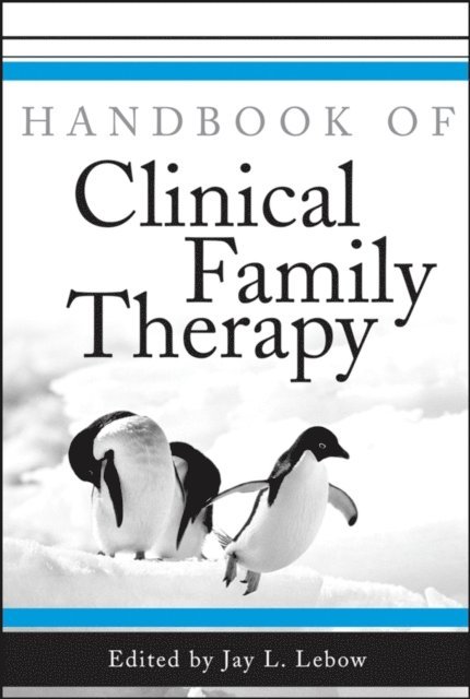 Jay L. Lebow - Handbook of Clinical Family Therapy, E-bok