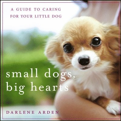 Darlene Arden - Small Dogs, Big Hearts, Häftad