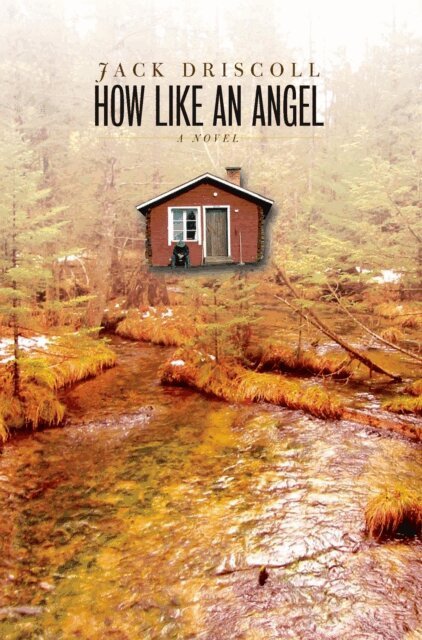 Jack Driscoll - How Like an Angel, E-bok. Tillgänglighet: Lägg i varukorg