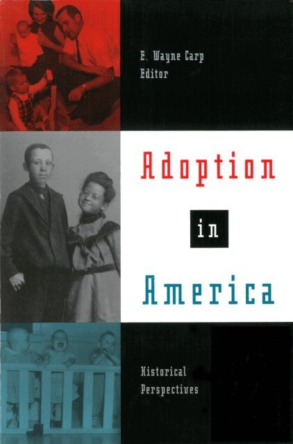 E. Wayne Carp - Adoption in America, E-bok