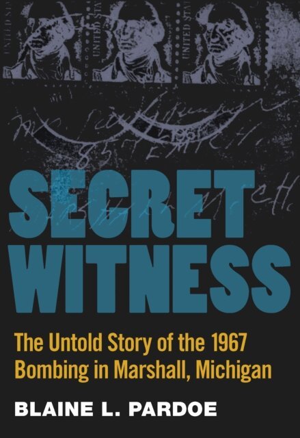 Blaine Pardoe - Secret Witness, E-bok