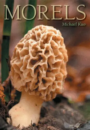 Michael Kuo - Morels, Häftad. Tillgänglighet: Tillfälligt slut