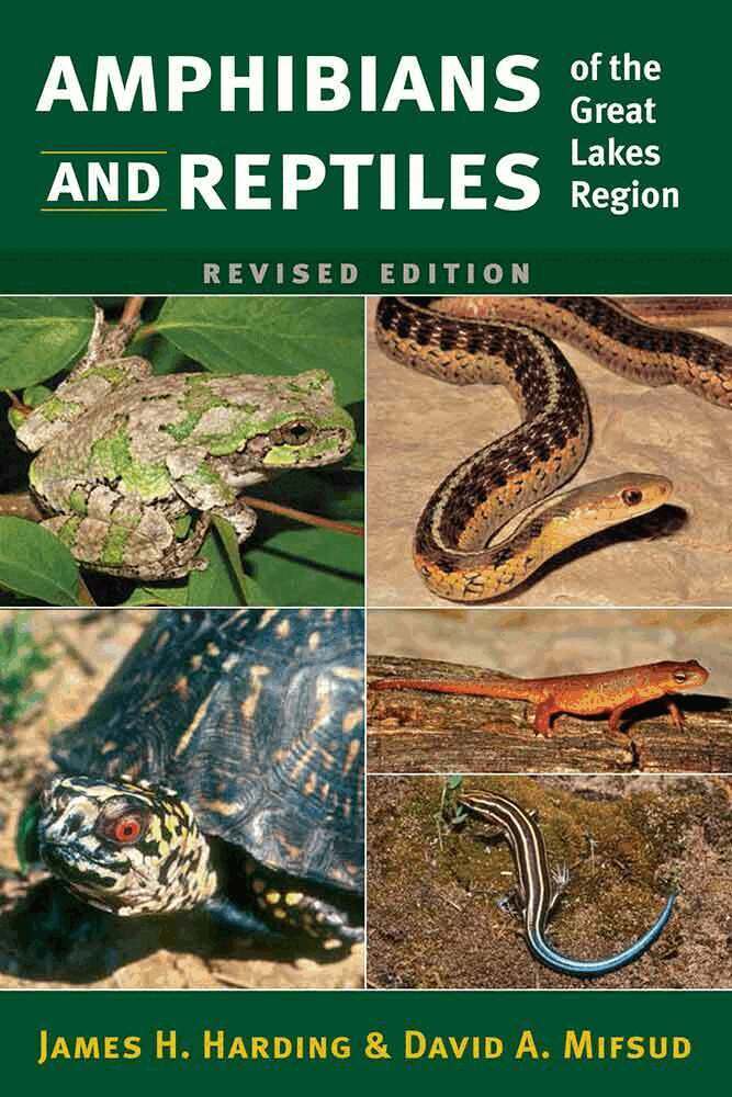 James H. Harding, David A Mifsud - Amphibians and Reptiles of the Great Lakes Region, Revised Ed., Häftad