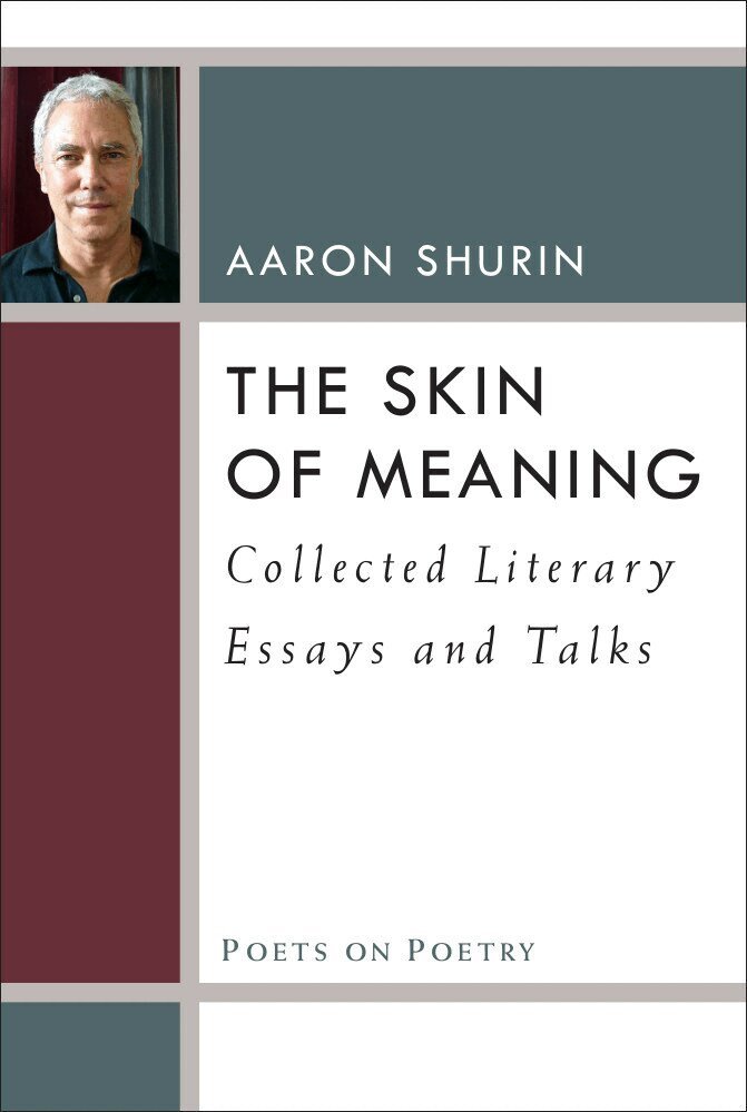 Aaron Shurin - Skin of Meaning, Inbunden. Tillgänglighet: Tillfälligt slut
