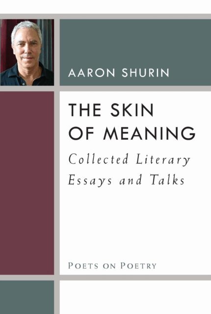 Aaron Shurin - Skin of Meaning, E-bok. Tillgänglighet: Lägg i varukorg