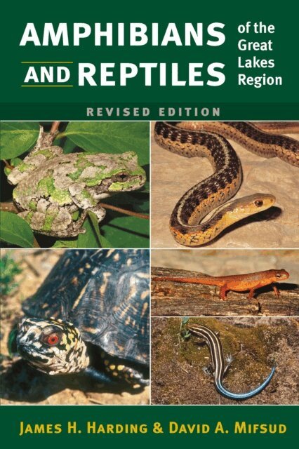 David A Mifsud, James H. Harding - Amphibians and Reptiles of the Great Lakes Region, Revised Ed., E-bok