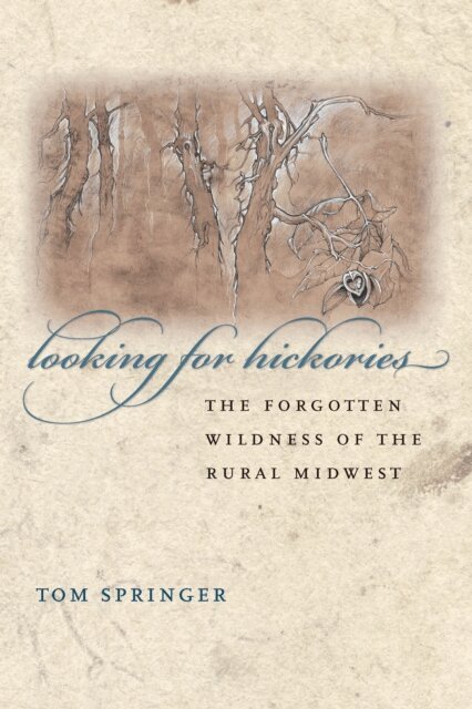 Thomas Springer - Looking for Hickories, E-bok