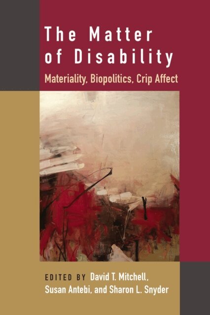 Sharon L. Snyder, Susan Antebi, David T. Mitchell - Matter of Disability, E-bok