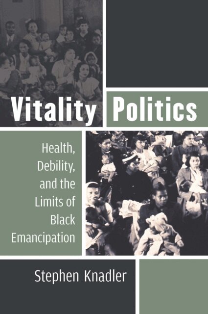 Stephen Knadler - Vitality Politics, E-bok
