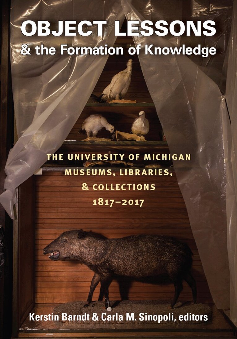 Kerstin Barndt, Carla M Sinopoli - Object Lessons and the Formation of Knowledge, Inbunden. Tillgänglighet: Tillfälligt slut
