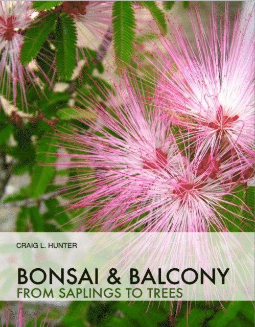Craig Hunter - Bonsai and Balcony - from saplings to trees, E-bok