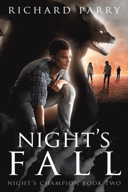 Richard Parry - Night's Fall, E-bok