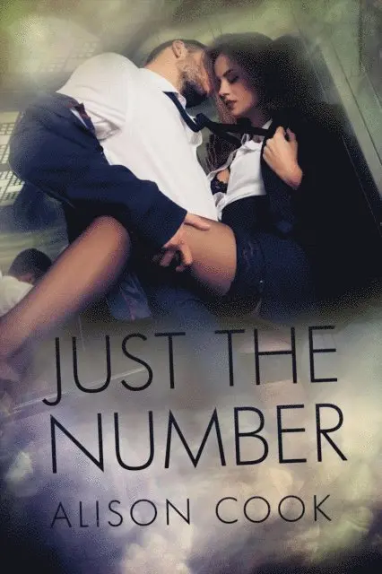Alison Cook - Just the Number, E-bok. Tillgänglighet: Lägg i varukorg