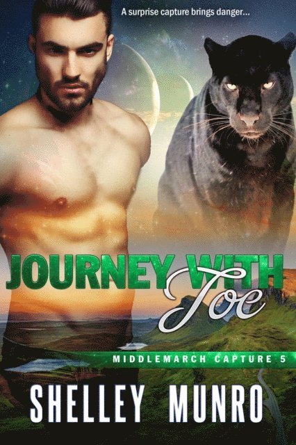 Shelley Munro - Journey With Joe, E-bok