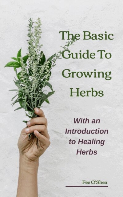 Basic Guide to Growing Herbs: With an Introduction to Healing Herbs