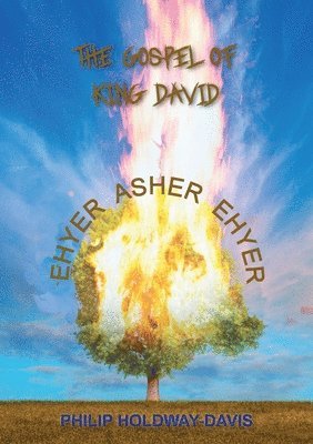 Philip Holdaway-Davis - Gospel of King David, Häftad