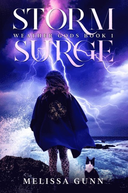 Melissa Gunn - Storm Surge, E-bok