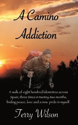 Terry Wilson - Camino Addiction., Häftad