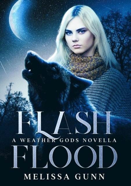 Melissa Gunn - Flash Flood, E-bok