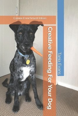 Creative Feeding For Your Dog