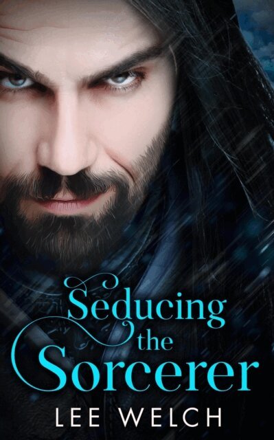 Lee Welch - Seducing the Sorcerer, E-bok