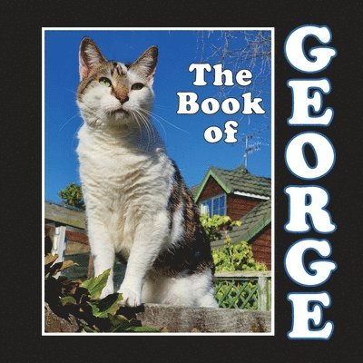 Linda Deane - Book of George, Häftad. Tillgänglighet: Lägg i varukorg