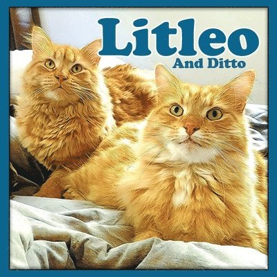 Linda Deane - Litleo And Ditto, Häftad. Tillgänglighet: Lägg i varukorg
