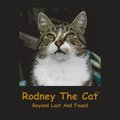 Rodney The Cat, Beyond Lost And Found