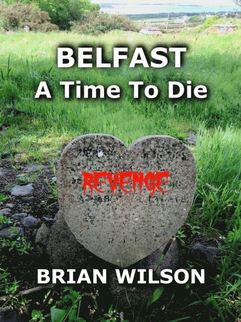 Brian Wilson - Belfast a Time To Die, E-bok
