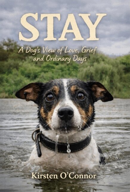 Kirsten O'Connor - Stay: A Dog's View of Love, Grief and Ordinary Days, E-bok. Tillgänglighet: Lägg i varukorg