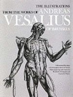The Illustrations from the Works of Andreas Vesalius of Brussels