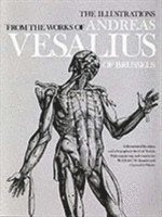 Vesalius The China Root Epistle Andreas Vesalius Bok - 